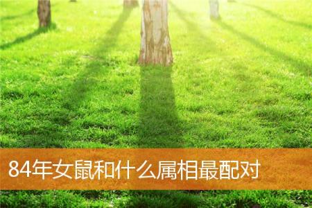 84年女鼠和什么属相最配对